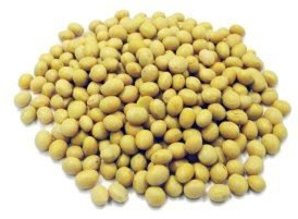 Jalpur Brand Soya Beans 200g – Whole, Raw & High-Protein Legumes for Cooking – Ideal for Soups, Stews, Soya Sauce, Oil, Vegan Recipes – Natural & Nutrient-Rich Superfood