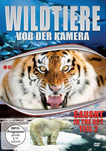 Wildtiere vor der Kamera - Caught in the Act Teil 2