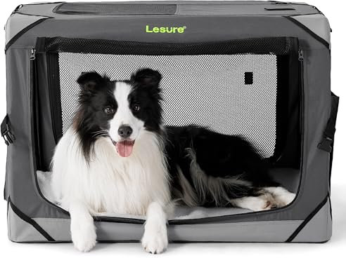 Lesure Hundebox Faltbar, Transportbox Hund, Stabile Transportbox mit Tragegriffen 82x58x58 cm, Klein & Groß Hundebox Faltbar, Atmungsaktiv Tragbar Transportabel, Oxford-Gewebe, Grau