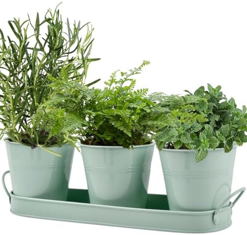 CENBEN 3er-Set kräutertöpfe Metall,Kräutergarten mit Tablett,Kräutertopf Küche,Herb Pots Indoor/Outdoor,Pflanztöpfe für Kräuter,Basilikum, Minze, Petersilie-Frische Kräuter Zuhause Anbauen