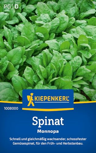 Kiepenkerl Spinatsamen Monnopa 1008000, Gemüsesaat | Ertragreich, für Beet & Freiland