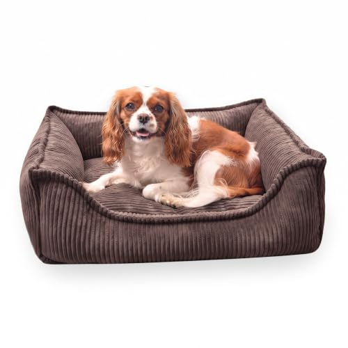 4L Textil Kuscheliges Hundebett aus Cord Hugo Premium-LINE Hundekorb orthopädisch Hundekissen flauschig Hundebett mit Bezug Memory Foam Hundesofa (Dunkelbraun, 80x60 cm)
