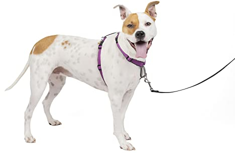 PetSafe 3-in-1 Hundegeschirr, Anti-Zieh, Hundegeschirr für Autogurt, Hundegeschirr Auto, Anti-Zug Hundegeschirr, Reflektoren, Geschirrgriff, Größe M ; schwarz, blau, lila