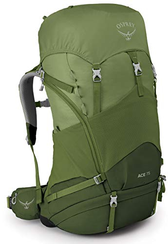 Osprey Ace 75 Wanderrucksack für Kinder, unisex - Venture Green O/S