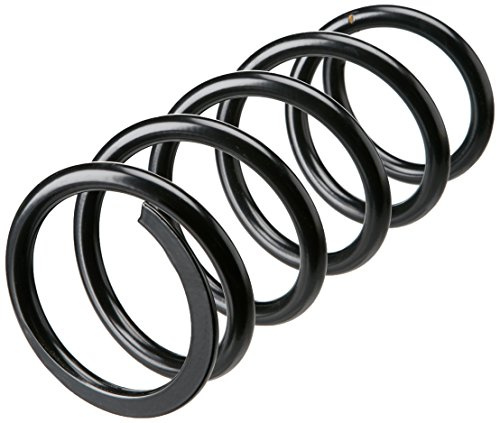 lesjofers 4049107 Coil Spring Front