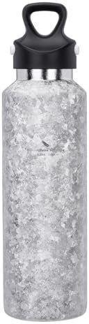 Boundless Voyage Titan Ti3258d Gourde isotherme isotherme 600 ml Passe au lave-vaisselle Réutilisable et anti-fuite pour l'école, le bureau, le sport, les voyages Argent