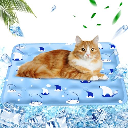 AHYDFSR Kühlmatte für Hunde - Hunde kühlmatte für Hund & Katze, Kühl Hundedecke, für Haustiere & Mensch, Hellblauer Eisbär, 40×50cm, M