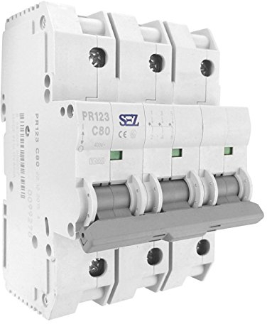 Commutateur LS sez C 80 A 10 KA Disjoncteur Disjoncteur automatique 6557