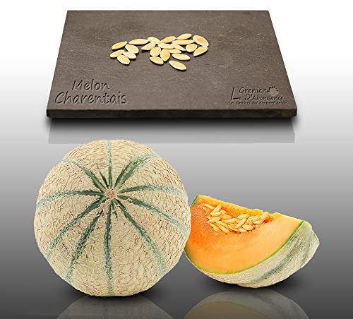 20 graines à semer - Le Grenier d'Abondance - MELON Charentais - Cucumis melo