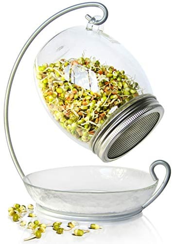 ALCEDIA Premium Sprossengläser-Set - einzigartiges 850 ml großes Keimglas, Ständer, Tablett und 316 Edelstahl-Siebdeckel | dekorativer Saatgut für den Innenbereich (1 Set)