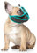 Yosoo Health Gear Maulkorb für Hunde mit Kurzer Schnauze, Verstellbar, Atmungsaktiv, Gegen Beißen, Bulldogge Kann die Zunge Herausstrecken und Wasser Trinken, Anti-Beiß-Training für Hunde, die (S)