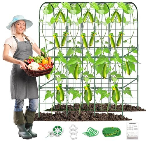 Gurken Rankgitter, Gurken Tomaten Kletterpflanzen Rankhilfe, Pflanzenstütze für Blumen und Nutzpflanzen, Pflanzenhalter für Tomate, Gurke Rankhilfe mit Wachstumsbeutel für Kletterpflanzen im Freien