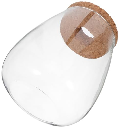 OFFSCH Lot de 2 Vases de Culture Hydroponique en Verre Transparent avec Bouchon en Liège et Plateau en Bambou Grands Récipients pour Propagation de Plantes, Station de Multiplication