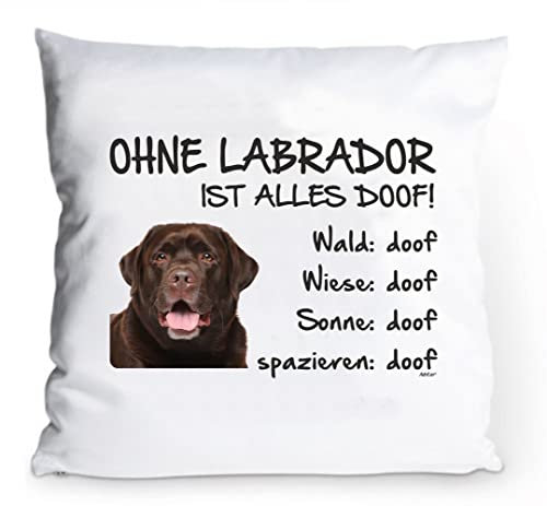 AdriLeo Kissenbezug 40x40cm Ohne Labrador ist Alles doof! (braunes Fell)