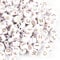 1000pcs White Acrylic Alphabet Letter Beads 7mm Flat Round Disc Coin A-Z Rose Gold Letter Pattern Loose Spacer Beads Charms for DIY Jewelry Bracelet Necklace Keychain Making