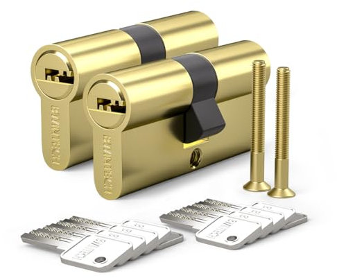 Bwintech 2 Stück 40/40mm Euro Messingzylinder, 80mm Schlüssel/Schlüsselzylinderschloss mit 10 horizontalen Messingschlüsseln,Anti Picking,Anti Bohr,Anti Snap,Anti Bumping, poliertes Messing Finish