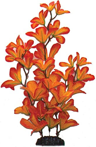 Sunset Macrandra Silk Like Plant 40cm by KenKoi…