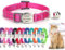 Handimake Collier réfléchissant personnalisé pour chat avec clochette – Collier gravé avec nom et numéro, boucle de sécurité détachable, réglable pour chats/chatons