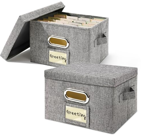 Vienrose Boîte de Rangement pour Cartes de Vœux, 20 Séparateurs, 2 Paquet | Boîte à Souvenirs pour Ranger Cartes Autocollants Recettes Photos Enveloppes Factures, Idéal pour Maison et Anniversaires