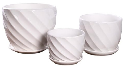 Lot de 3 pots de fleurs en céramique avec plateau - Grande taille - Arbre riche - Jardinage créatif - Plantes succulentes - Pot de fleurs extra large (blanc, taille unique)