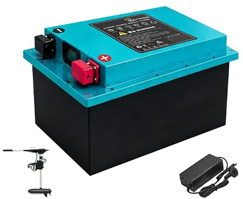 HJGHY ,12v 100ah, Batteria per propulsore 12V 24V 50Ah 100Ah 200Ah, Batteria Ricaricabile LiFePO4 48V 60V 55Ah 70Ah per propulsione Marina, Barca da Pesca