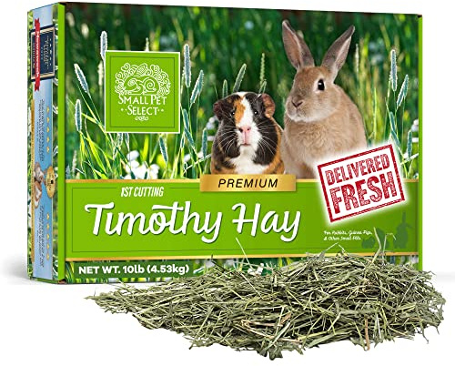 Small Pet Select 1st Cut Timothy Hay Pet Food for Rabbits, Guinea Pigs, and Other Small Animals, Easy to Store Box, 10lb (4.54 kg)