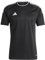 adidas Campeon 23 JSY Jersey (kurzärmlig) Herren