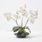 Homescapes mittelgroße Kunstorchidee im Topf, hochwertige künstliche Orchidee mit weißen Blüten, Deko-Orchidee Phalaenopsis im schwarzen Keramiktopf, dekorative Kunstblume, 38 cm hoch