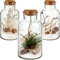alles-meine.de GmbH LICHT Dekoglas - 8 Stück LED Weihnachten & Winter Schnee 22 cm - Licht im Einmachglas - Marmeladenglas - Flasche - Weihnachtsflasche - Lichterflasche mit ..