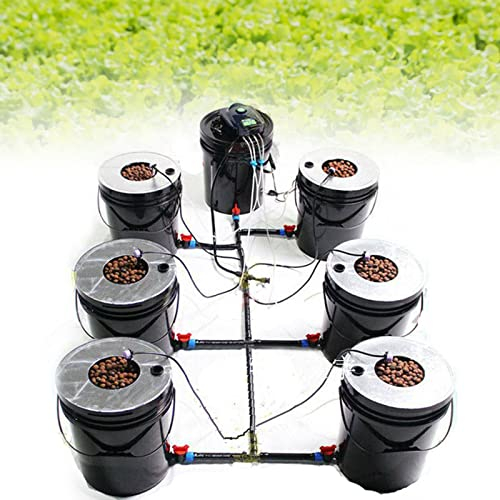 YISSALE Sistema di coltivazione idroponica Deep Water Culture Hydroponic DWC System 5 Gallon 7 Bucket Kit DWC Hydroponic System Grow Kit per colture utili, macchina idroponiche multibotte
