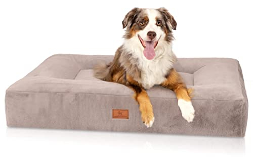 Knuffelwuff orthopädisches Hundebett Midland XL 100 x 80cm Grau - Hundekissen für große, mittelgroße und kleine Hunde - Waschbar