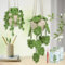 kdafio Crochet Kit for Beginners, 2PC Hanging Potted Plants Crochet Starter Kit with Step-by-Step Instructions and Video Tutorials Complete Crochet Kit for Beginners Decoration (Leaf Potted Plant)