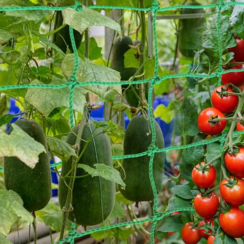 Ranknetz für Kletterpflanzen 2.5x2m, Ranknetz für Gurken mit 50 Pflanzenbinder, Pflanzennetz mit Großer Maschenweite, Rankhilfen Kletterpflanzen, Gewächshaus Garten Gurken, Tomaten, Kletterpflanzen