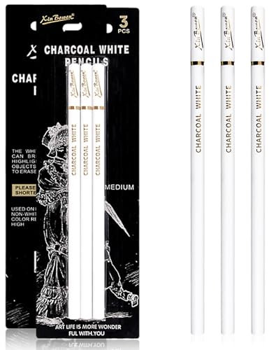 Lubgitsr 3 Pcs White Highlight Charcoal Pencils, Professional Drawing Sketch Pencils With Fine Point for Artist Beginner Student