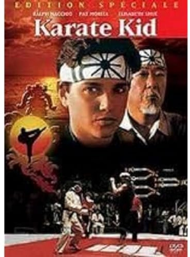 Karaté kid : le moment de verité [FR Import]