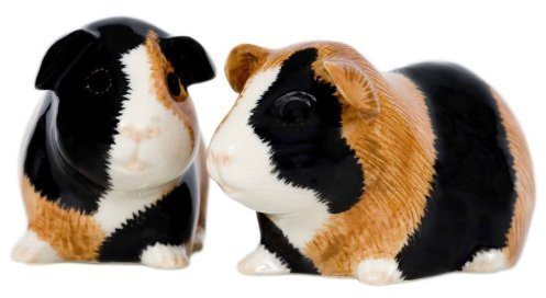Quail Ceramics - Guinea Pig Salt And Pepper Pots - Multi-coloured