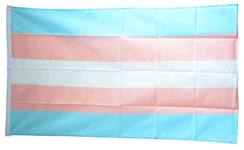 Flaggenfritze Fahne/Flagge Transgender Pride + gratis Sticker
