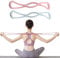 BSITSSS 2 Armtrainer Resistance Bands, Terra Band, Widerstandsbänder Muskeltraining Extender, Fitnessbänder für Finess Training Gymnastik Yoga Pilates, Offener Rücken und Schultern