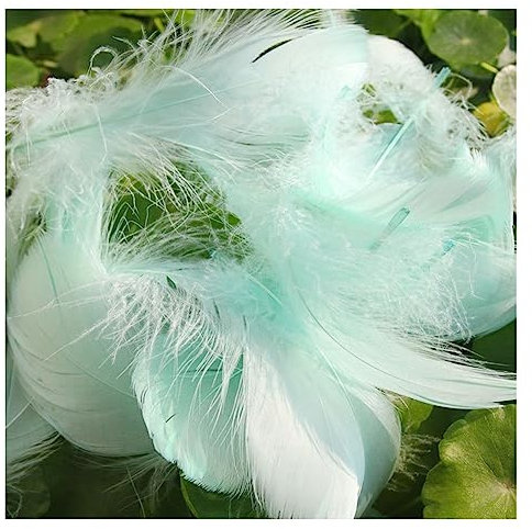 Yurosiay 100 Stück Bunt Federn Natürliche Federn Handwerk Gänsefeder Bunt Federn Deko Federn zum Basteln Flaumfedern Bastelfedern Deko für DIY Ohrring Kopfschmuck Traumfänger 6-12cm Grün