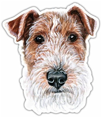 Samunshi® Drahthaar Foxterrier Aufkleber Autoaufkleber für Motorrad Fahrrad Roller oder Auto Sticker Fahrrad Mtb Mountainbike Rennrad Hund Dog Dogo 10cm Drahthaar Foxterrier