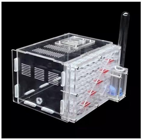 REEKOS Ameisenhaus Ameisenfarm Ameisenburg Ökosystem Ant Castle Fütterungssystem Lebensraum Werkzeug Ant Farm Mit Hydratation Ant Nest Farm Ameisennest Ameisen Zucht Box