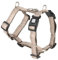Max & Molly Hundegeschirr Matrix 2.0 Sand/XS in H-Form, für Hunde mit Gotcha! Smart ID, Geschirr Hund, Neopren Gepolstert & Reflektierende Nähte - Komfort für deinen treuen Begleiter