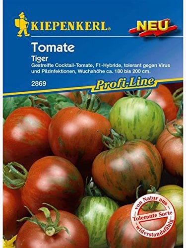 Tomaten Cocktailtomaten Tiger