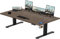 TRIUMPHKEY Höhenverstellbar Schreibtisch groß 200x80cm USB Steckdose 3 Memory-Steuerung Schreibtisch Höhenverstellbar Anti-Kollisions Höhenverstellbarer Tisch Computertisch Table
