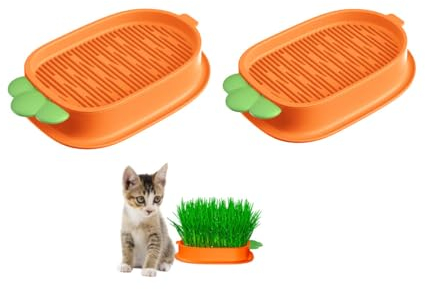 Changyeah Kit de Culture d'Herbe à Chat - 2 Pots de Croissance, Boîte en Plastique, Bac à Germes Hydroponique pour Chats et Animaux de Compagnie (Orange)