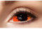Eyecatcher 84091541.s09 - Farbige Sclera Kontaktlinsen, 1 Paar, für 6 Monate, Schwarz, Orange, Karneval, Fasching, Hallowee