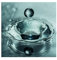 80x80cm - Fotodruck auf Leinwand und Rahmen Wasser Wassertropfen makro - Leinwandbild auf Keilrahmen modern stilvoll - Bilder und Dekoration