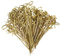 200 Pieces Bamboo Skewers Eco-Friendly Canape Sticks 4.7 Biodegradable Bamboo Skewers Food Toothpicks for Appetisers, Cocktails, Barbecue Snacks