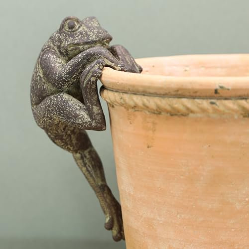 Fyne-Finds Resin Frog Plant Pot Hanger Nat Climber Animal Design Home Decorative Garden Hanging Ornament