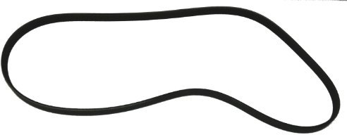 QH QBR51138 Drive Belt